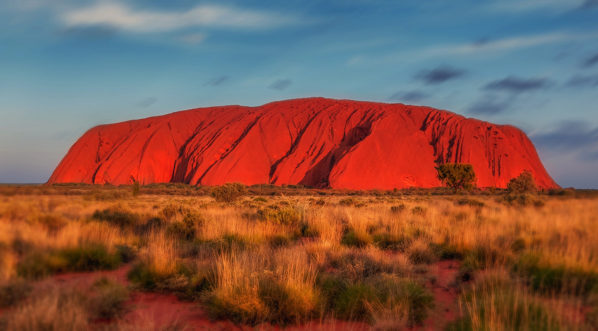 Australien Work and Travel: Visum, Kosten & Steuern